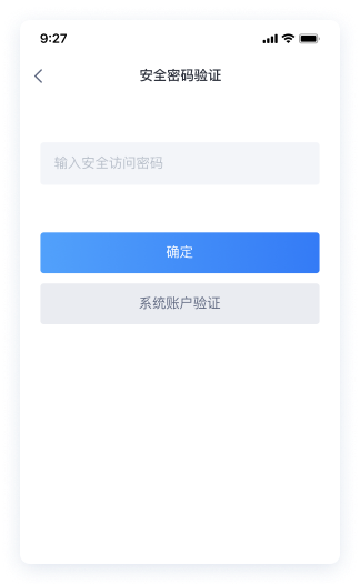自定义安全访问密码验证方式